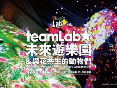 teamLab互動藝術 高雄場盛大開展 挑高場景體驗升級